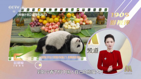 国产亚洲精品美女久久
